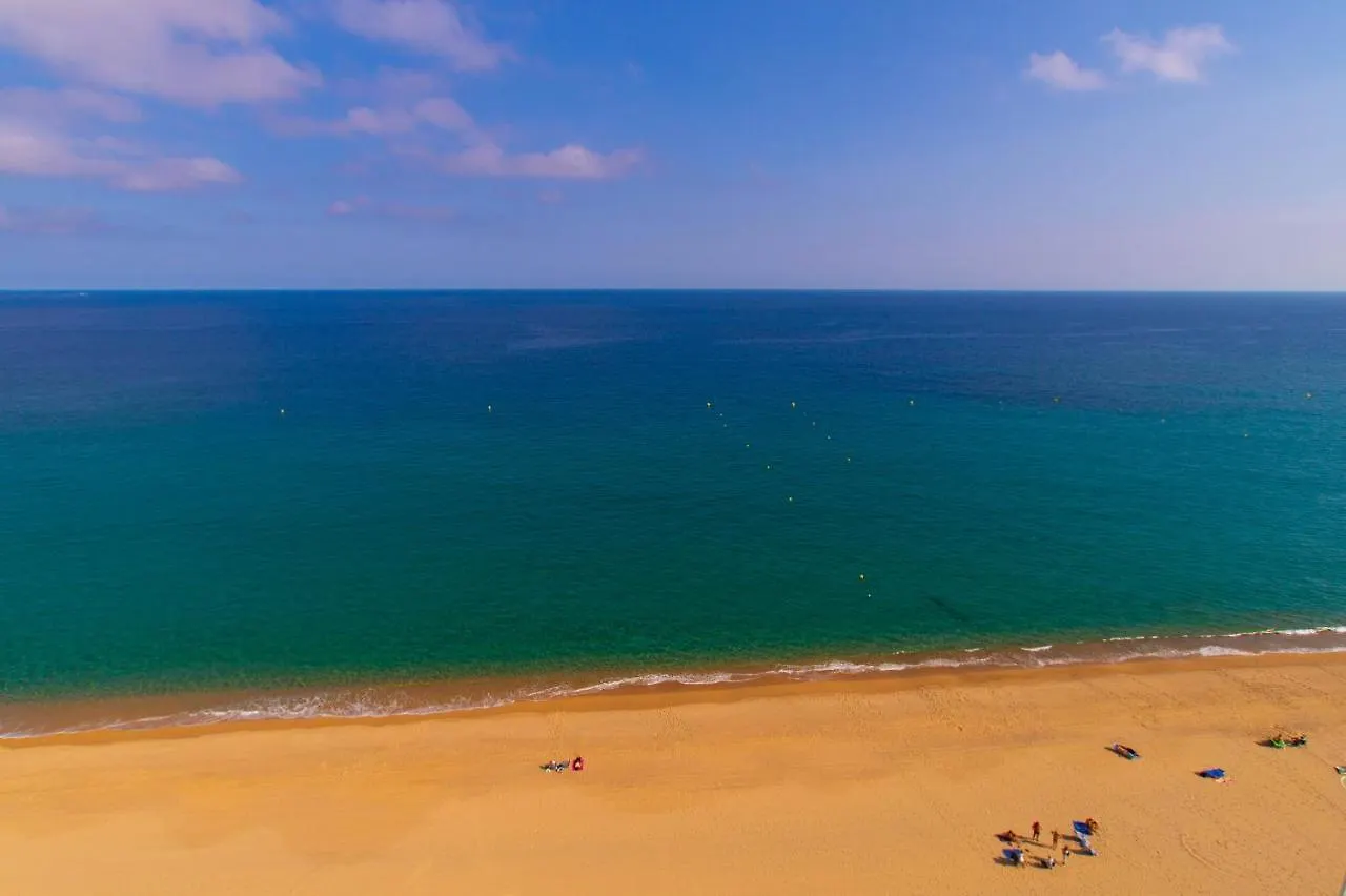 פלטחה ד'ארו Coconut Beach Boutique Studio
